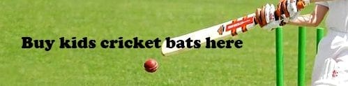 Kids Cricket Bat Sizes Guide Catalogue Club Blog